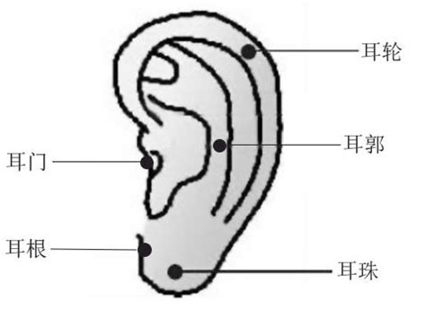 耳根痣|耳朵长痣的位置图解男 耳朵长痣的位置图解女